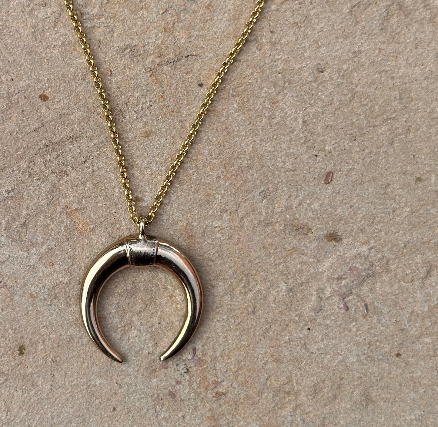 Double Horn Pendant Necklace